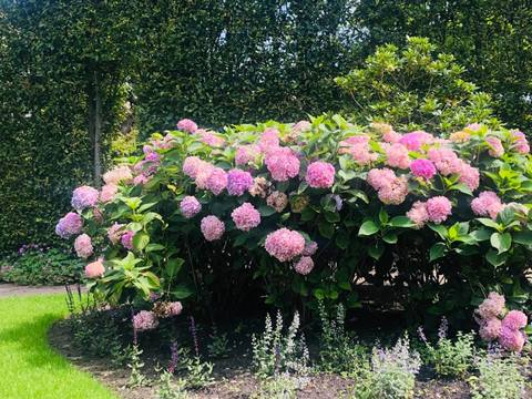 Tuinontwerp Leiden (3)