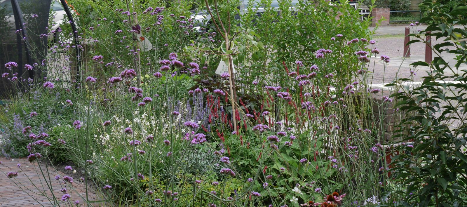 Tuinontwerp Leiden (3)