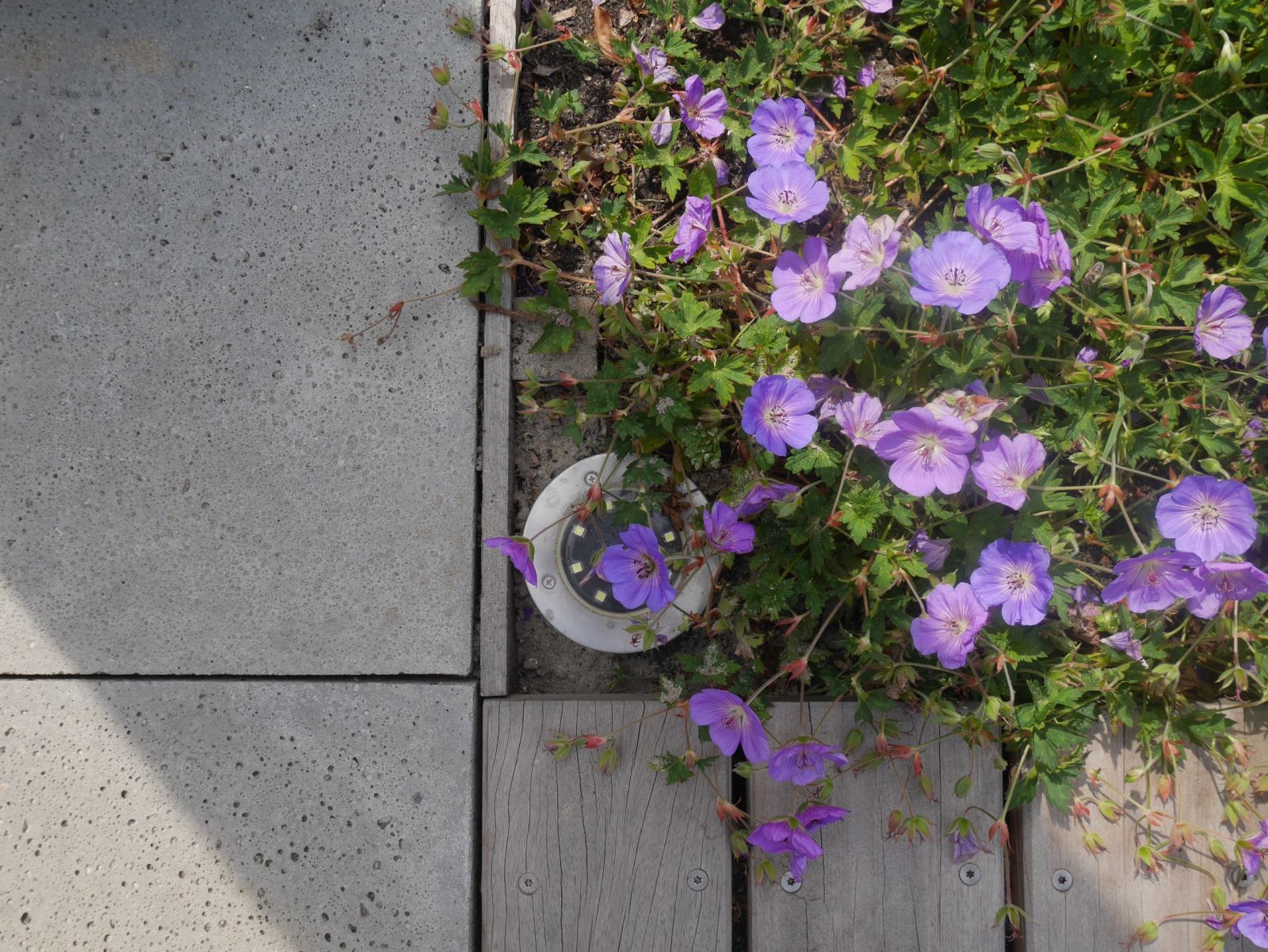 Tuinontwerp Nieuwkoop (4)