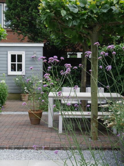 Tuinontwerp Leiden (2)